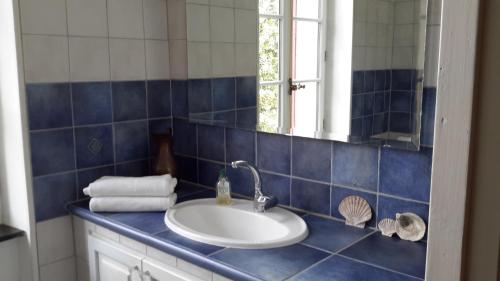 Sallèles-dʼAudeにあるLa Maison du Docteurの青いタイル張りのバスルーム(シンク、鏡付)
