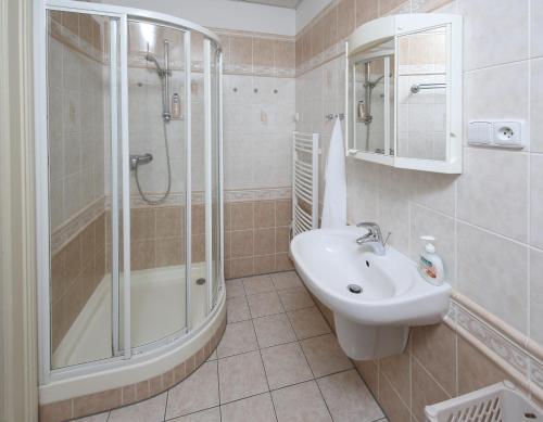 Koupelna v ubytování Apartmán Ondřejská