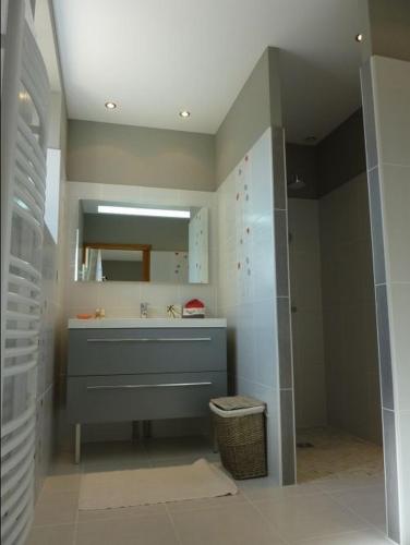 une salle de bain avec un lavabo et un miroir dans l'établissement Chambres d'Hôtes de la Junchère, à Saint-Hilaire-de-Court