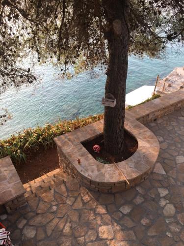 a tree with a sign on it next to the water at Adriatic Queen in Gdinj