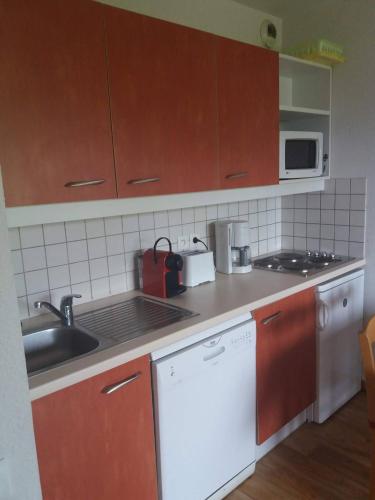 Il comprend une petite cuisine équipée d'un évier et d'un lave-vaisselle. dans l'établissement Le Hameau des Ecrins Station 1800, à Puy-Saint-Vincent