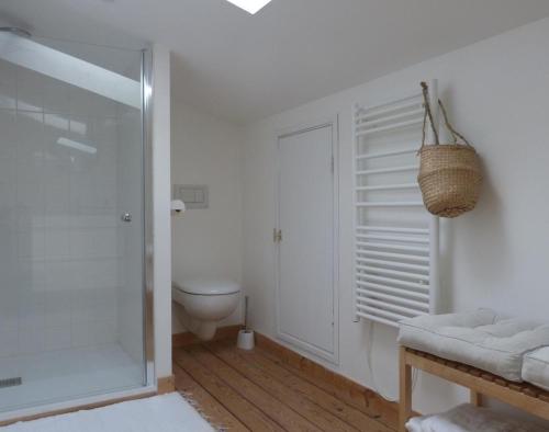 a bathroom with a toilet and a walk in shower at Maison En Ville in Niort