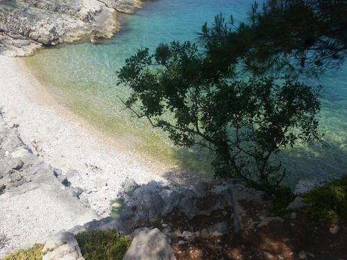 a beach with a tree next to the water at Adriatic Queen in Gdinj