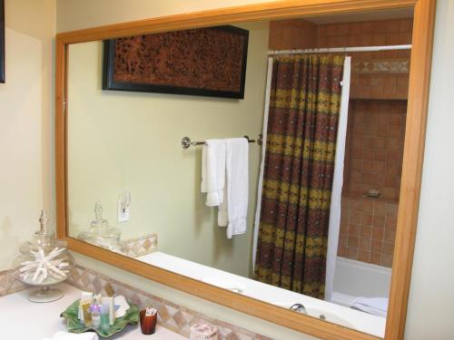a bathroom with a shower, sink, and mirror at Casa de Tres Lunas/House of Three Moons in Santa Fe