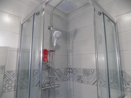 a shower in a bathroom with a glass door at Chambres d'hôtes à Raveau in Raveau