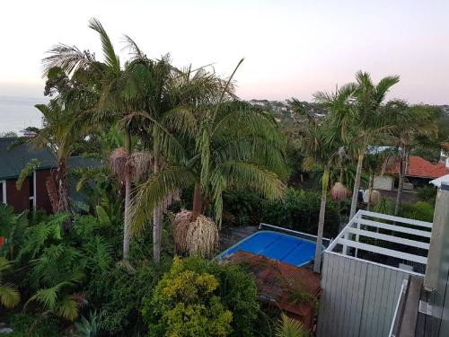 vista sulla piscina e sulle palme di Close to beach ad Auckland