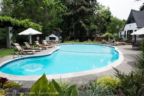 einen Pool mit Stühlen und Sonnenschirmen im Hof in der Unterkunft Candlelight Inn Napa Valley in Napa