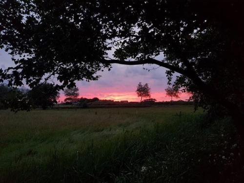a sunset in a field with a tree in the foreground at Bed & Coffee Maricoweg in Den Burg