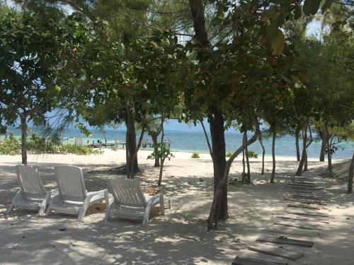 two chairs and trees on a beach with the ocean at Sea by C Apartments in Cancún