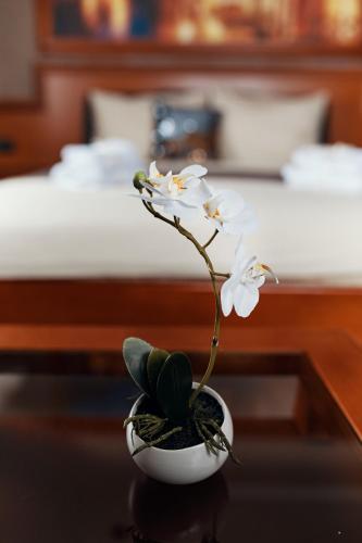 a white flower in a white vase on a table at Lux apartmani Beograd in Belgrade