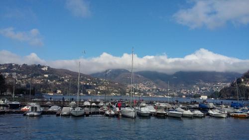 a bunch of boats are docked in a harbor at L'Approdo di Sant'Agostino in Como