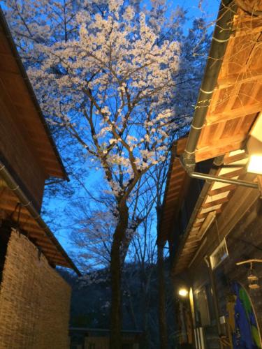 Galería fotográfica de Otsu Nature Garden en Akiruno