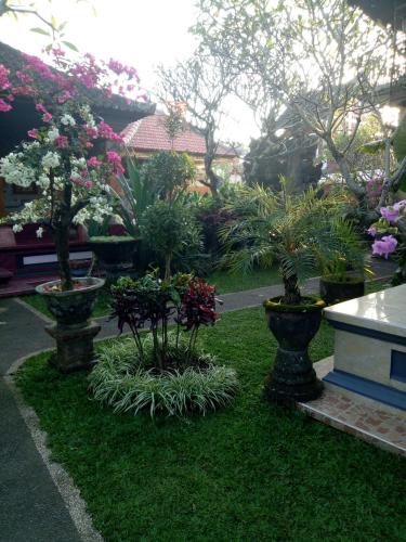 a garden with three vases with plants in the grass at Suryadina Guest House in Ubud