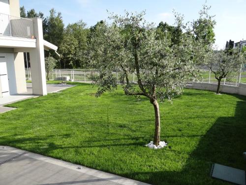 Taman di luar Nuovo Laghetto Del Frassino
