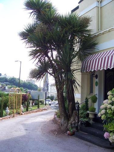 a palm tree in front of a building at The Somerville in Torquay