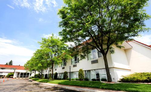 a white building with trees next to a street at Adam's Airport Inn in Ottawa