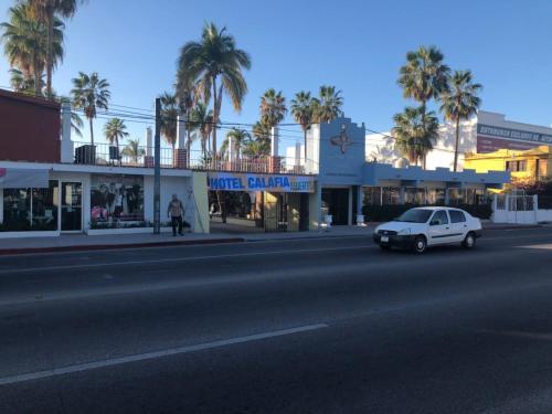 a white car parked on a city street with palm trees at Hotel Calafia in La Paz