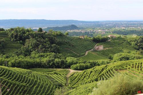 an aerial view of a vineyard in the hills at Wine Hotel San Giacomo Activity & Wellness in Paderno del Grappa