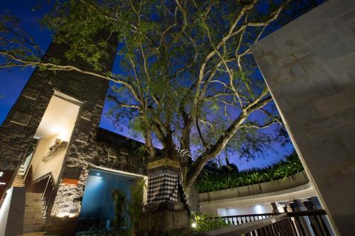 a tree in front of a building at night at The Tamarind Resort - Nusa Lembongan in Nusa Lembongan