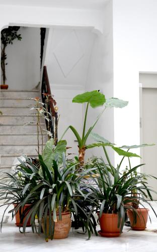Apartamento Alameda