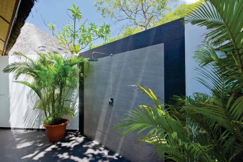 a house with plants on the side of it at Dreamland Maldives Resort in Baa Atoll