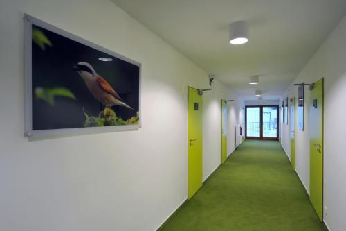 a hallway in an office with a picture of a bird on the wall at Penzion Andula Friesovy boudy in Strážné