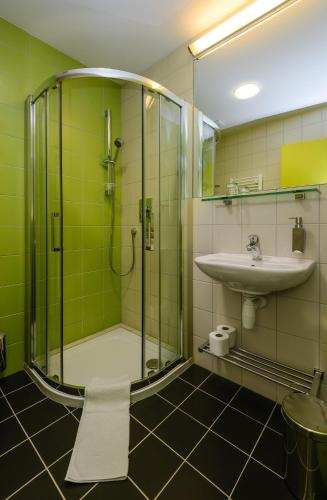 a bathroom with a shower and a sink at Penzion Andula Friesovy boudy in Strážné