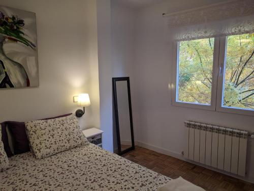 マドリードにあるGran Apartamento Cerca de Atochaのベッドルーム1室(鏡付きのベッド1台、窓付)