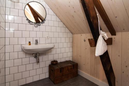 a bathroom with a sink and a mirror at Herberg Swaen aan de Brink in Den Ham
