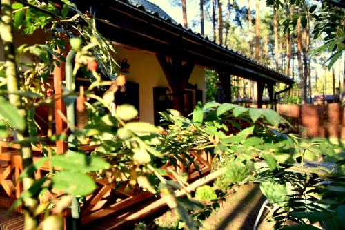 Taman di luar 66 Szyszek