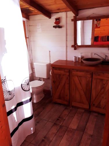 a bathroom with a toilet and a sink at Cabaña Rincón de Manzano in Villa La Angostura