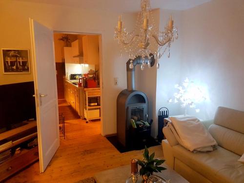 ein Wohnzimmer mit einem Sofa und einem Kamin in der Unterkunft Ferienwohnung Kensche in Arnstadt