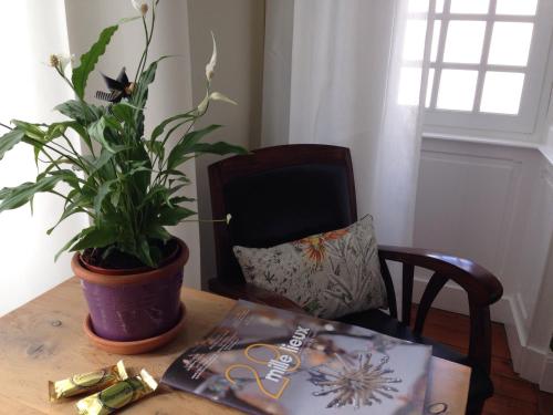a table with a potted plant and a book at Maison Castel Braz in Pont-Aven
