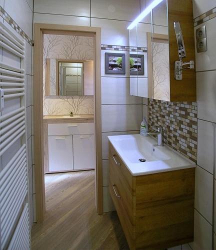a bathroom with a sink and a mirror at Ferienwohnung Traumblick in Bad Sachsa