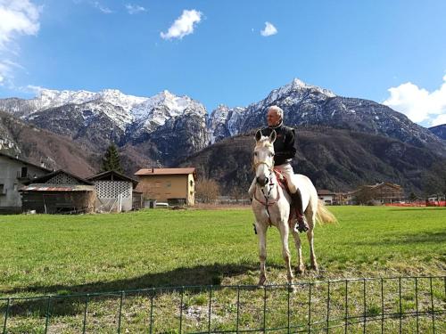 a man riding a horse in a field with mountains at Agritur Airone Bed & Camping in Levico Terme