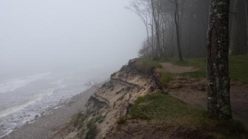 a foggy cliff with a tree on it next to the ocean at POKOJE GOŚCINNE RENATA KNITTER in Komnino