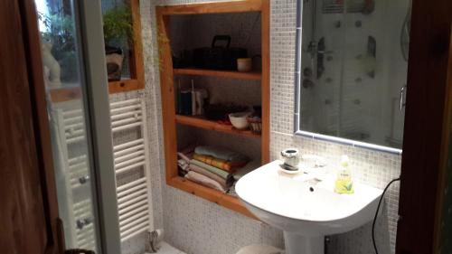 a bathroom with a sink and a toilet and a shower at La bergerie St Didier en Velay 43140 in Saint-Didier-en-Velay