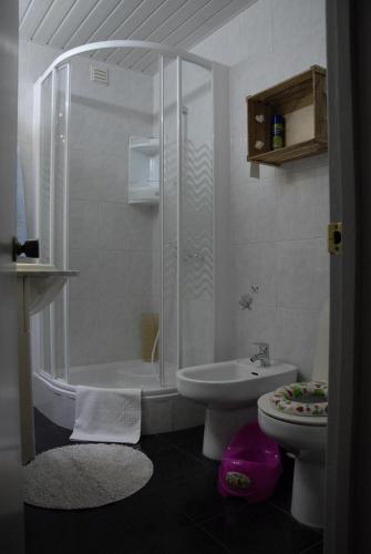 a bathroom with a shower and a toilet and a sink at Olivia's Place in Funchal