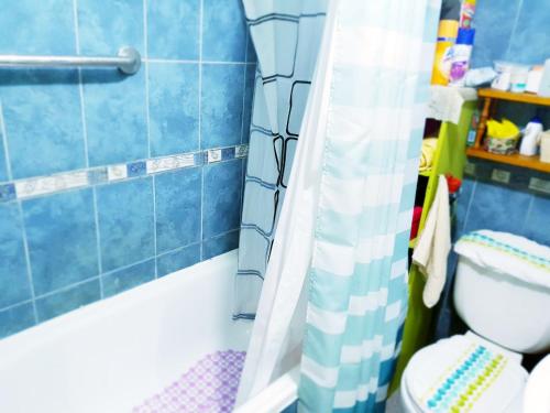 La salle de bains bleue est pourvue de toilettes et d'une douche. dans l'établissement Hospedaje María Elena, à Coyhaique