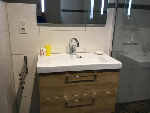 a bathroom with a sink and a shower at Gîte Grewis in La Wantzenau