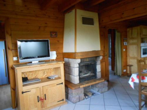 sala de estar con TV y chimenea en CHALET du DROPT en Girmont-Val-dʼAjol