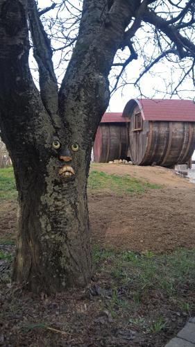 a tree with a face drawn on the side of it at B&B Pervinca in Rocca Grimalda