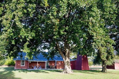 a large tree in front of a red barn at Coldstream Estate - The Whare in Coldstream