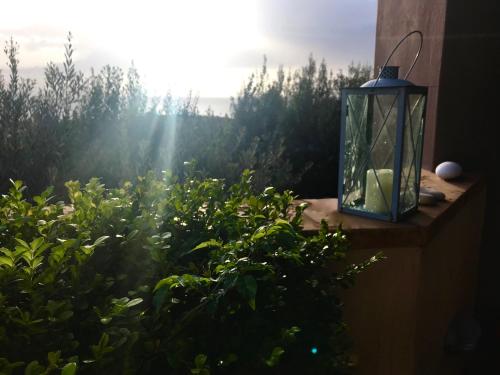 a lantern sitting on a window sill with a plant at Vrontados Villa in Vrontados