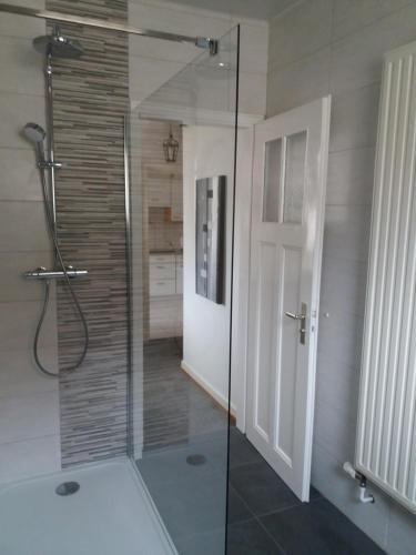 une douche avec une porte vitrée dans une salle de bain dans l'établissement Logis le 18 rose, à Strasbourg