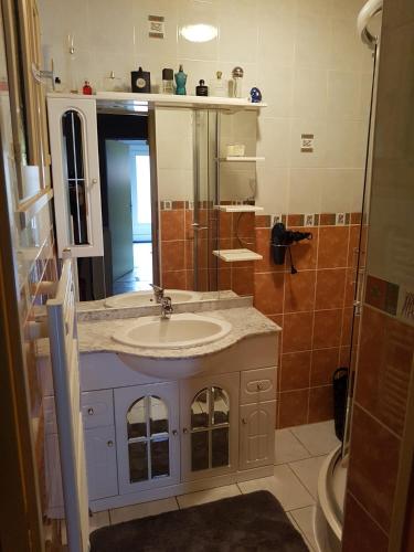 a bathroom with a sink and a mirror at Chez Violette in Destry