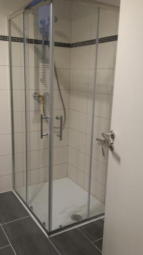 ハーメルンにあるFerienhaus Sommerfeldのバスルーム(ガラスドア付きのシャワー付)