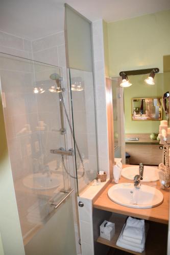 a bathroom with a shower and a sink and a mirror at Hotel Le Barbouillon in Vencimont