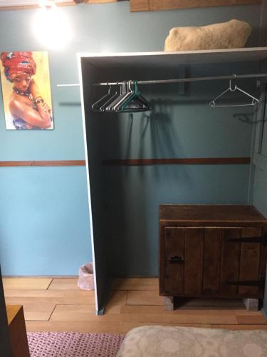 a bedroom with a bunk bed with a closet at Leo's Den in Fish hoek