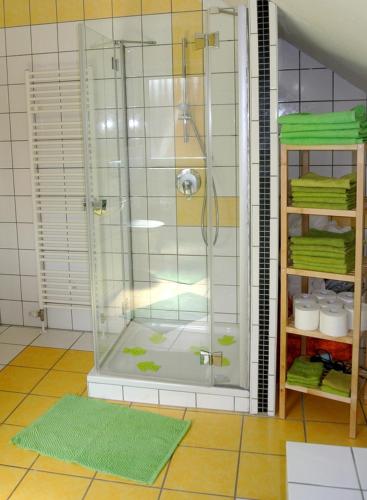a shower with a glass door in a bathroom at Ferienwohnung Voelkel mit Dachterrasse in Trier